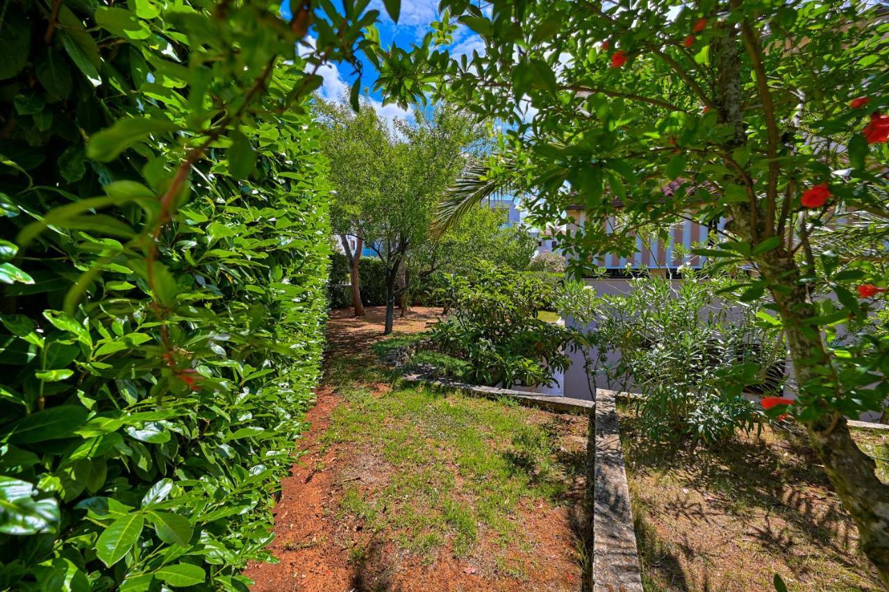 Apartment Iby Pula